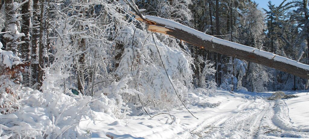 Winter storm with electrical lines down